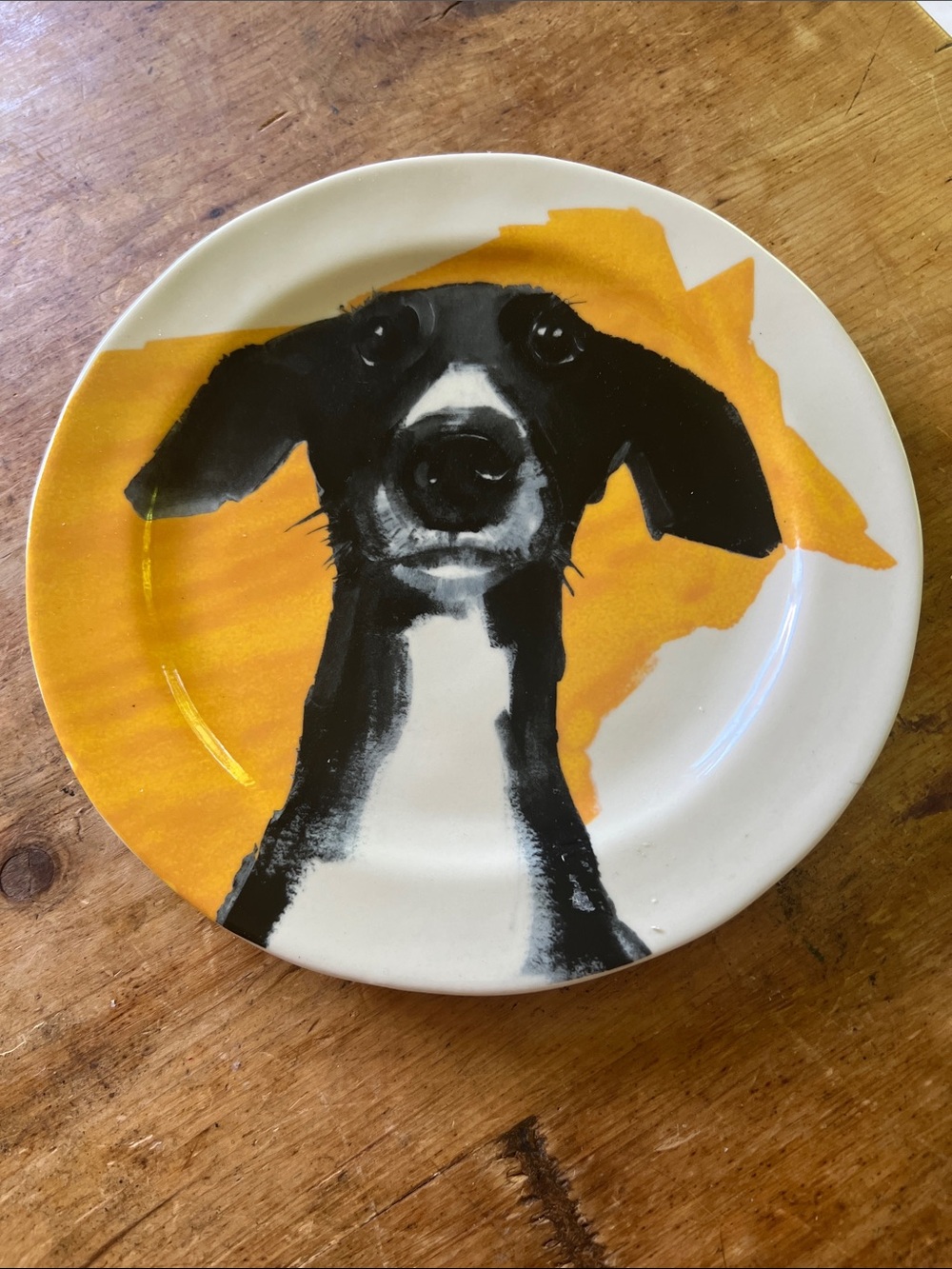 Sally Muir for Anthropologie "Dog-A-Day Plate Whippet or Italian Greyhound